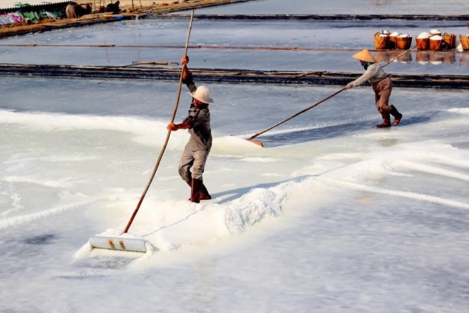 Du lịch biển đảo giữa Sài Gòn ảnh 4 Du lich bien dao giua Sai Gon anh 4