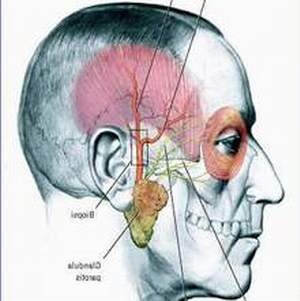 Những bệnh dễ gặp khi trời lạnh ảnh 1 Nhung benh de gap khi troi lanh anh 1