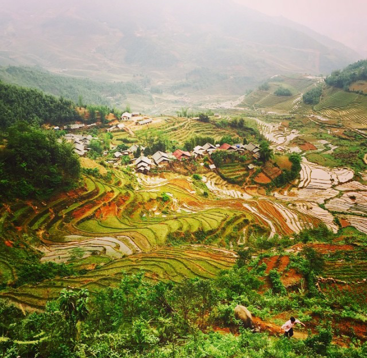 Điểm đến mang tên con gà ảnh 5 Diem den mang ten con ga anh 5