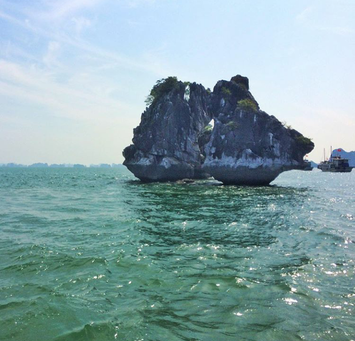 Check-in 5 diem den mang ten con ga trong nam Dinh Dau hinh anh