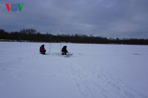 Cau ca tren dong song bang anh 1