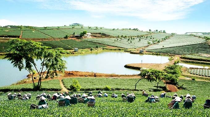 Cao nguyên ở Việt Nam ảnh 5 Cao nguyen o Viet Nam anh 5