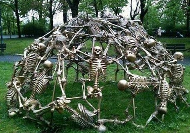 Nhung thiet ke la lung va dang so danh cho tre em hinh anh