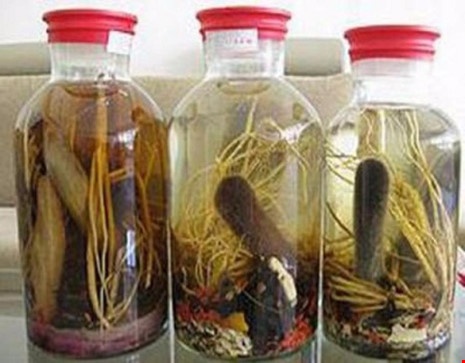 Tác dụng của rượu thuốc ảnh 3 Tac dung cua ruou thuoc anh 3