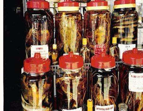 Tác dụng của rượu thuốc ảnh 2 Tac dung cua ruou thuoc anh 2