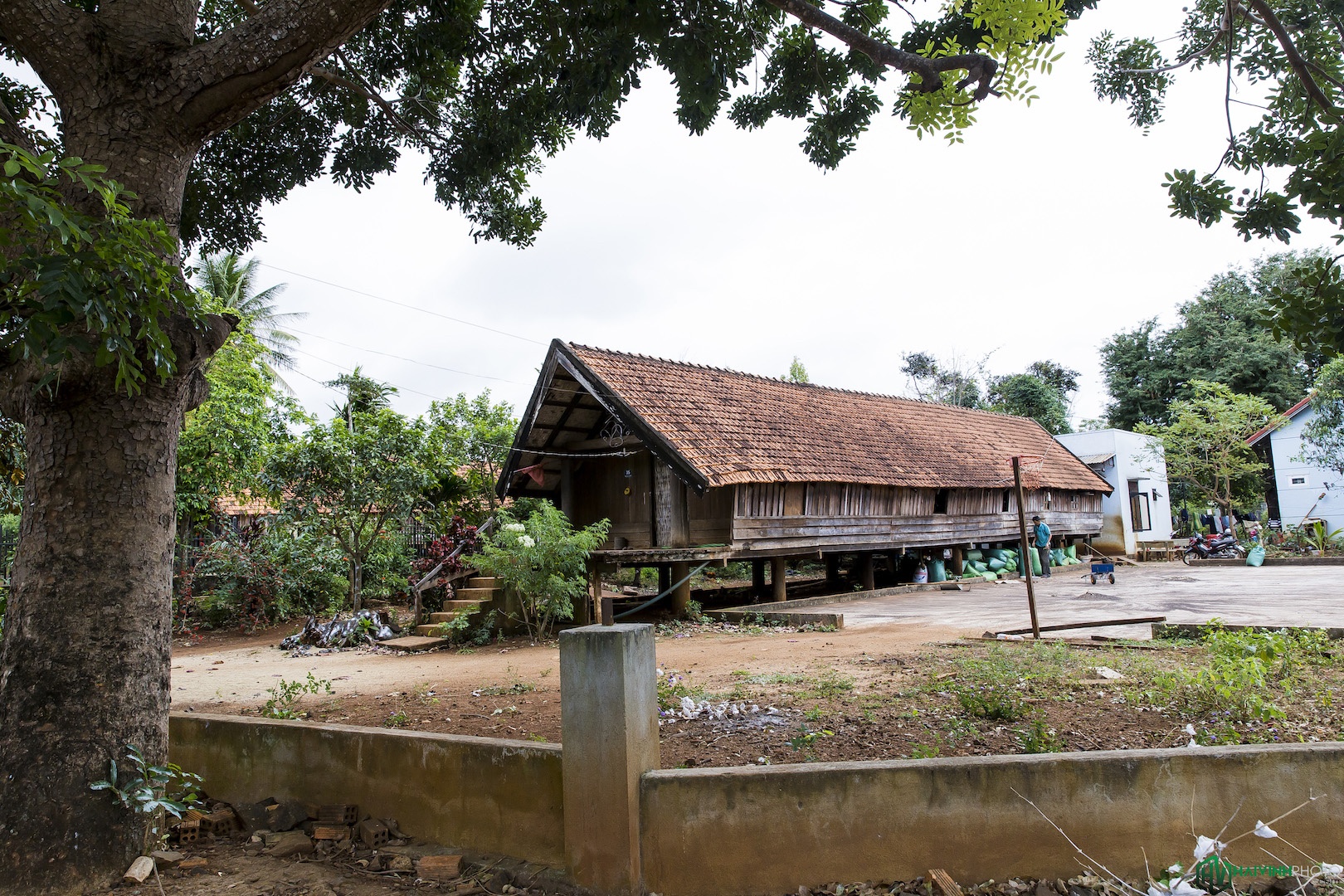 Khám phá thành phố Buôn Ma Thuột ảnh 7 Kham pha thanh pho Buon Ma Thuot anh 7