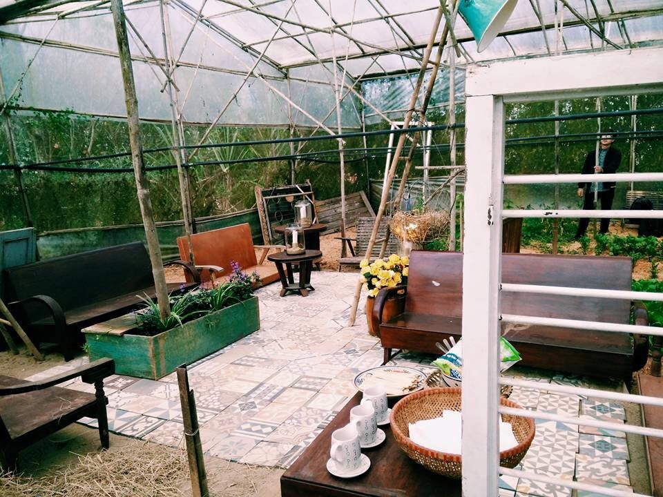Homestay Đà Lạt  ảnh 11 Homestay Da Lat anh 11