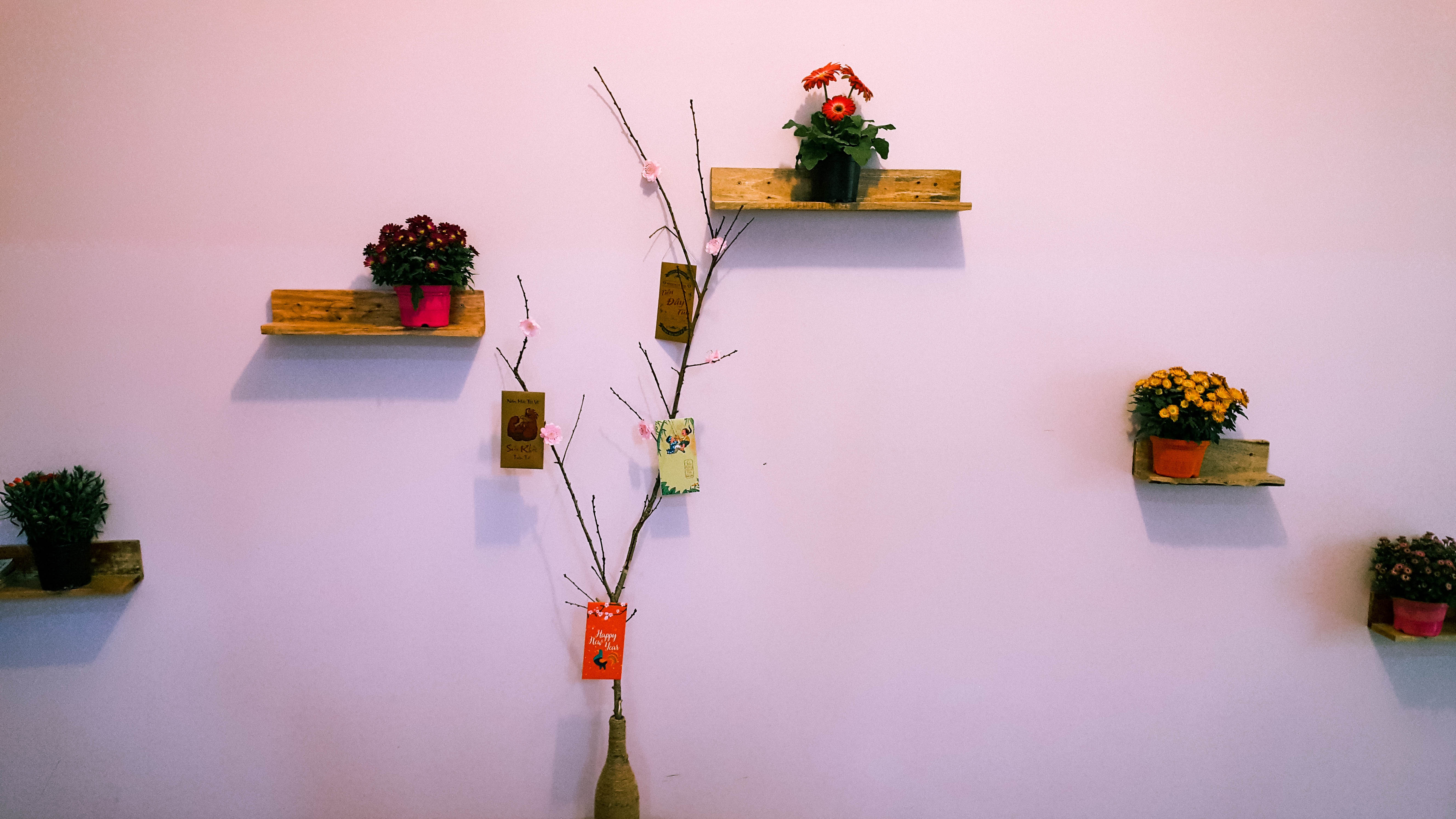 Homestay Đà Lạt  ảnh 14 Homestay Da Lat anh 14