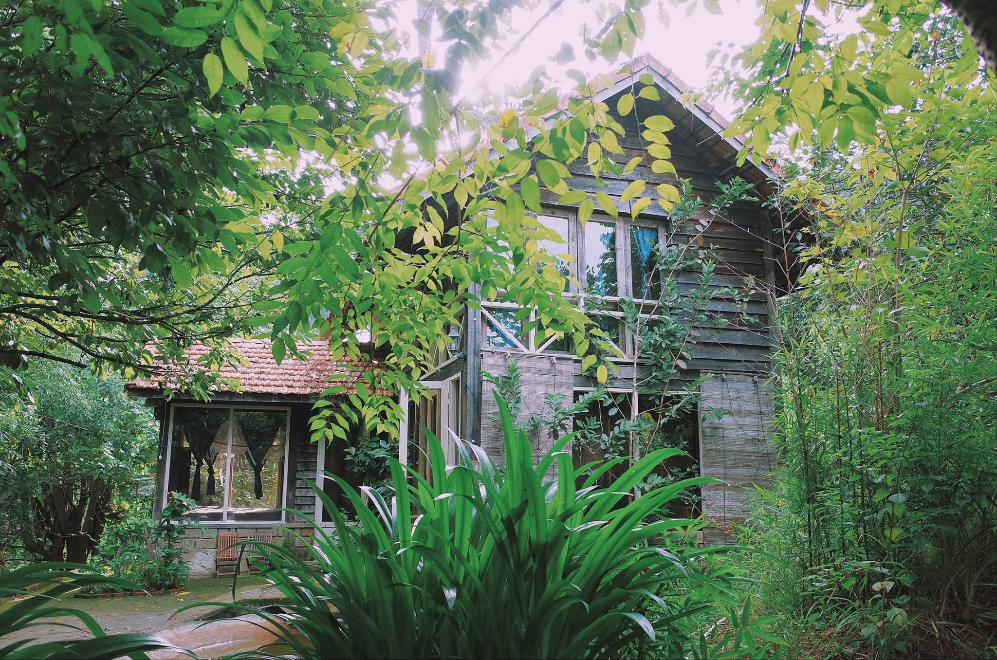 Homestay Đà Lạt  ảnh 3 Homestay Da Lat anh 3
