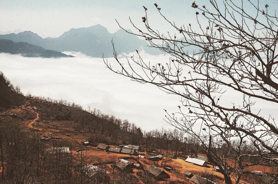 Y Tý ngày xuân ảnh 16 Y Ty ngay xuan anh 16