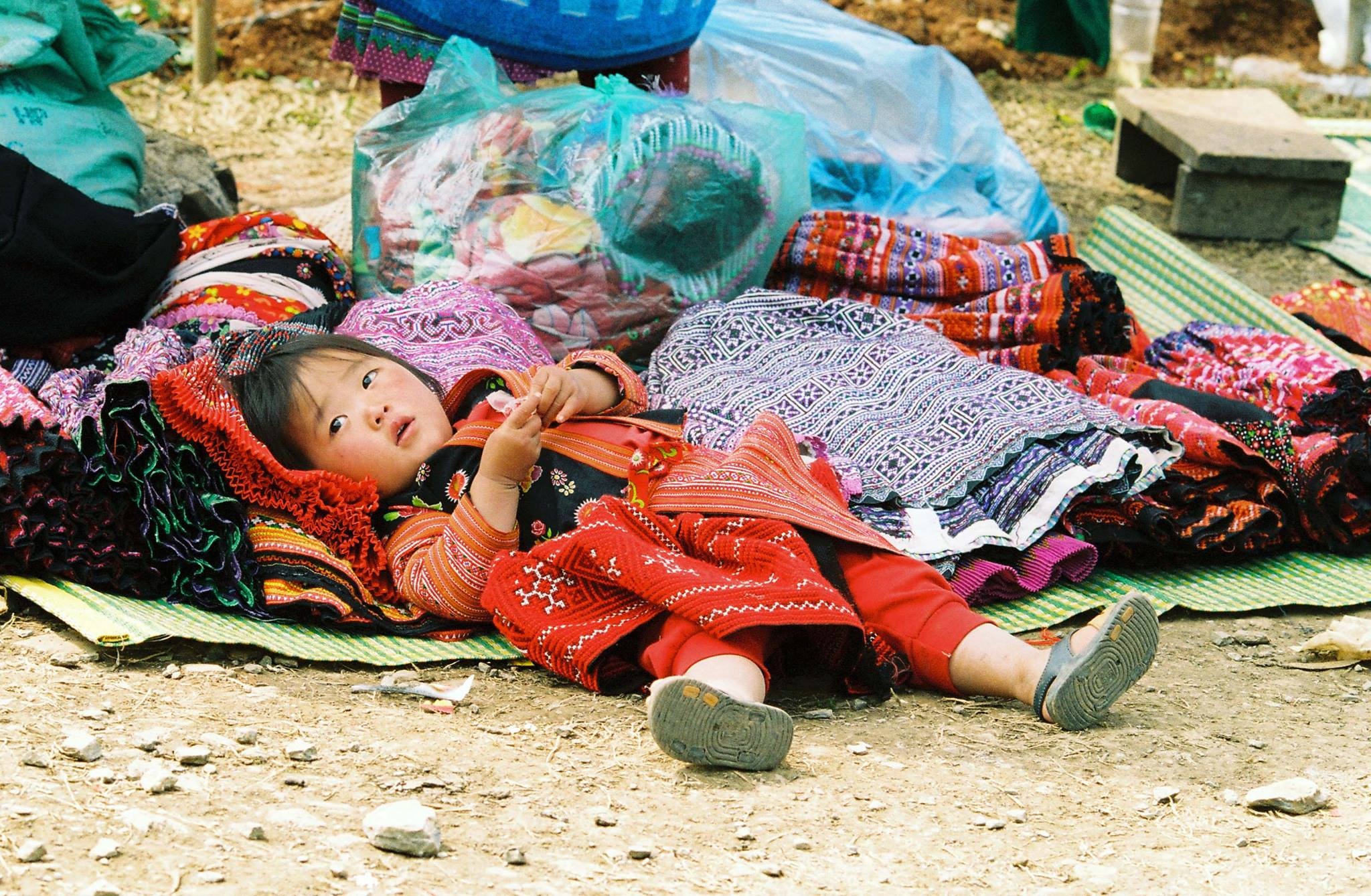 Mai anh dao Moc Chau anh 15