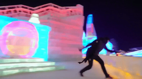 Nhao lon tu do o thanh pho bang hinh anh