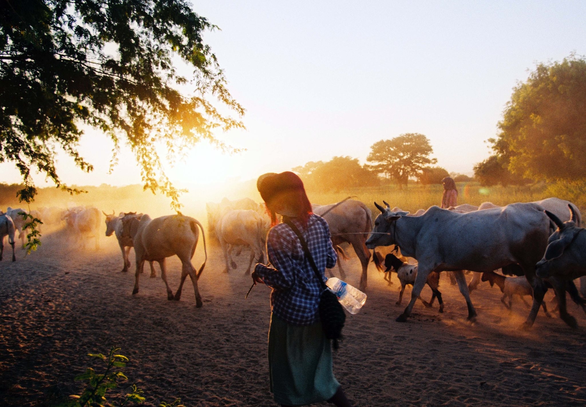 Kinh nghiệm du lịch Bagan ảnh 19 Kinh nghiem du lich Bagan anh 19