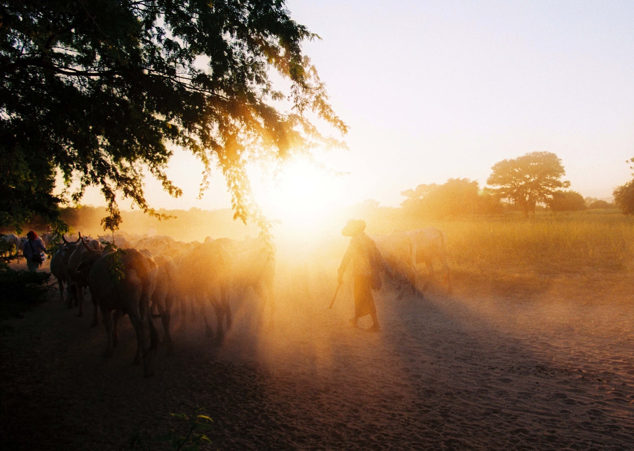 Kinh nghiệm du lịch Bagan ảnh 20 Kinh nghiem du lich Bagan anh 20