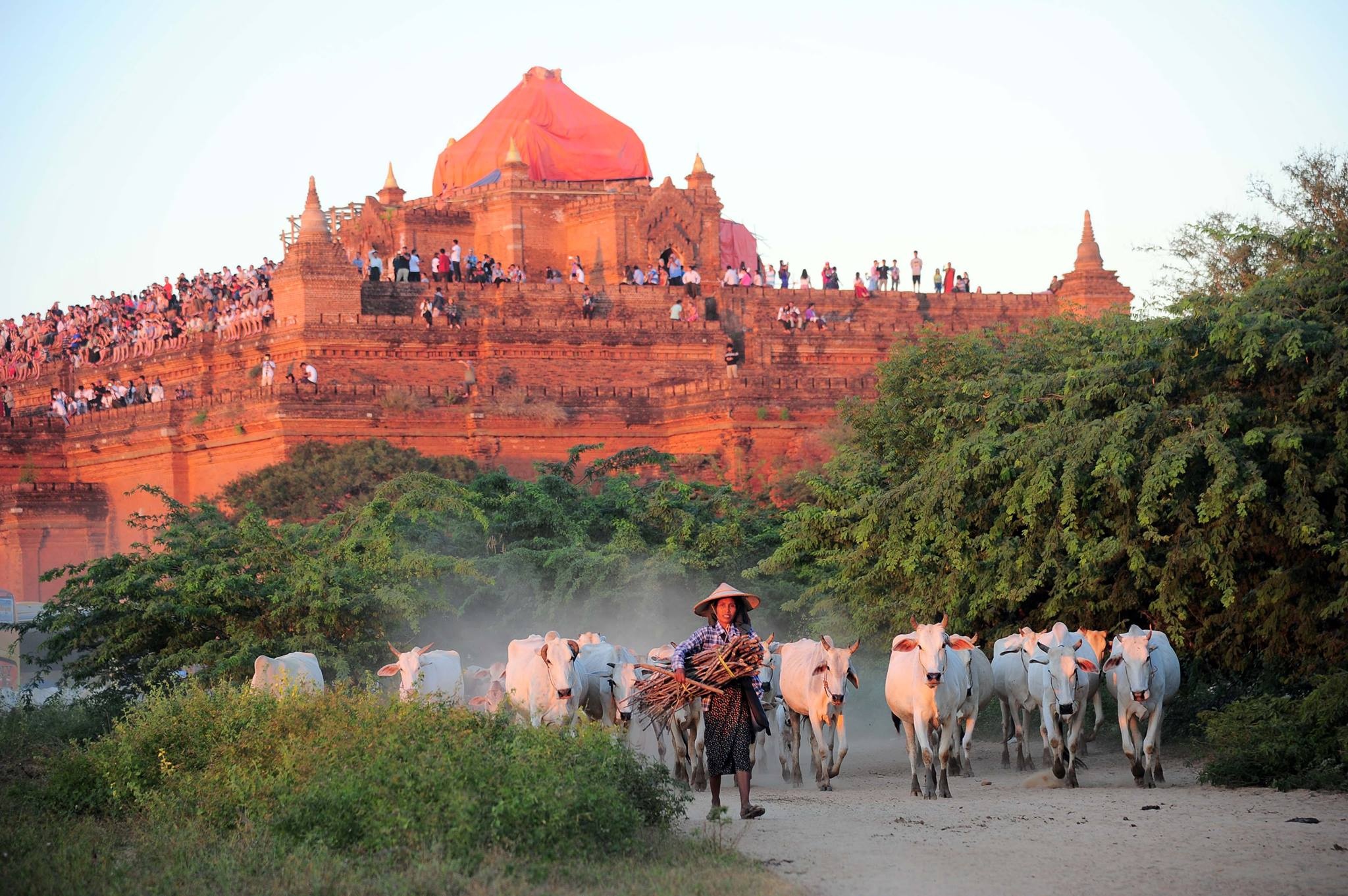 Kinh nghiệm du lịch Bagan ảnh 21 Kinh nghiem du lich Bagan anh 21