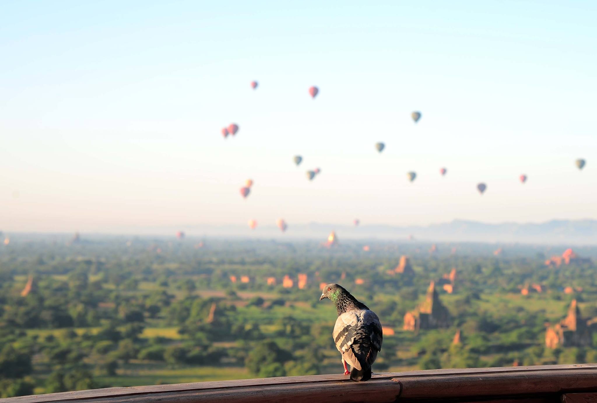 Kinh nghiệm du lịch Bagan ảnh 8 Kinh nghiem du lich Bagan anh 8