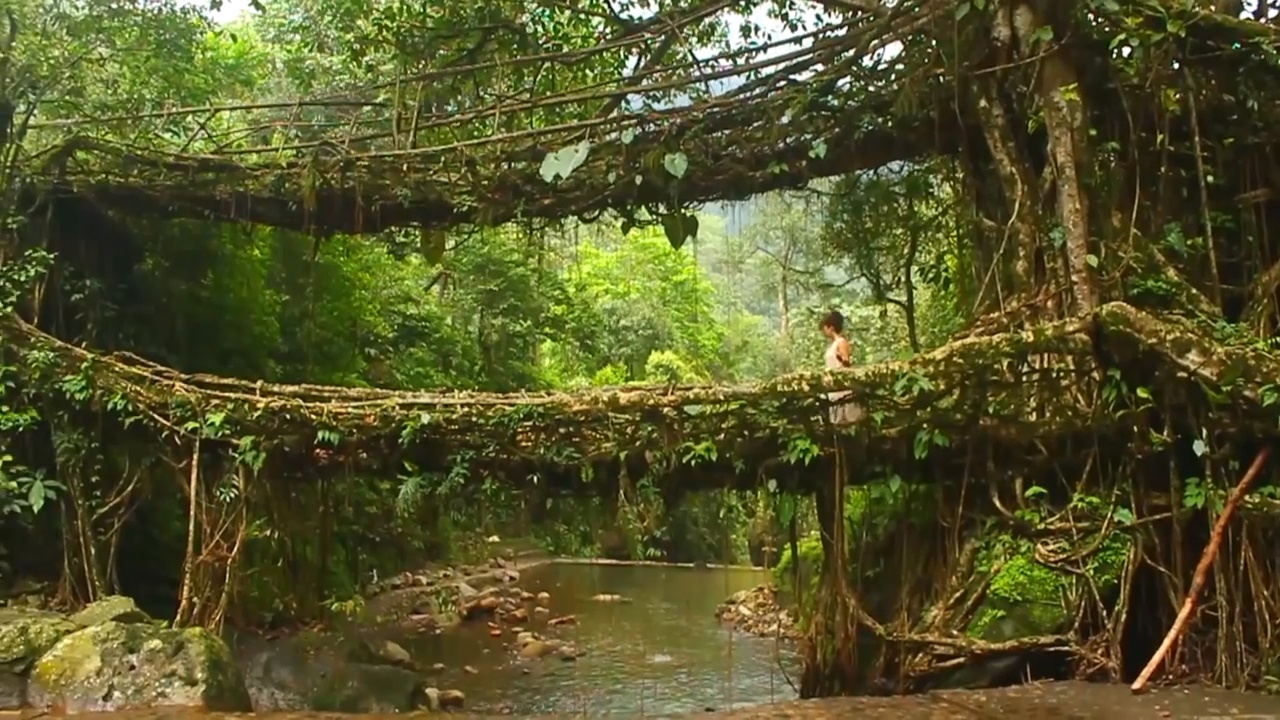 Kham pha xu so ngan may Meghalaya hinh anh