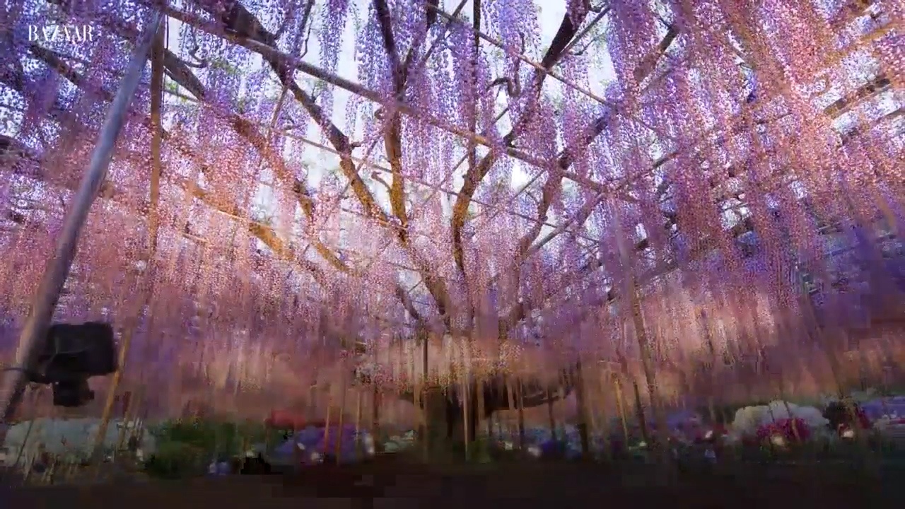 Duong ham hoa tu dang huyen ao hinh anh