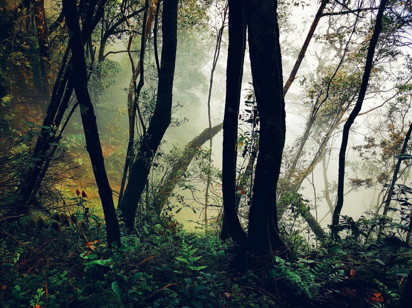 Phuot 3 dinh Tam Dao anh 7