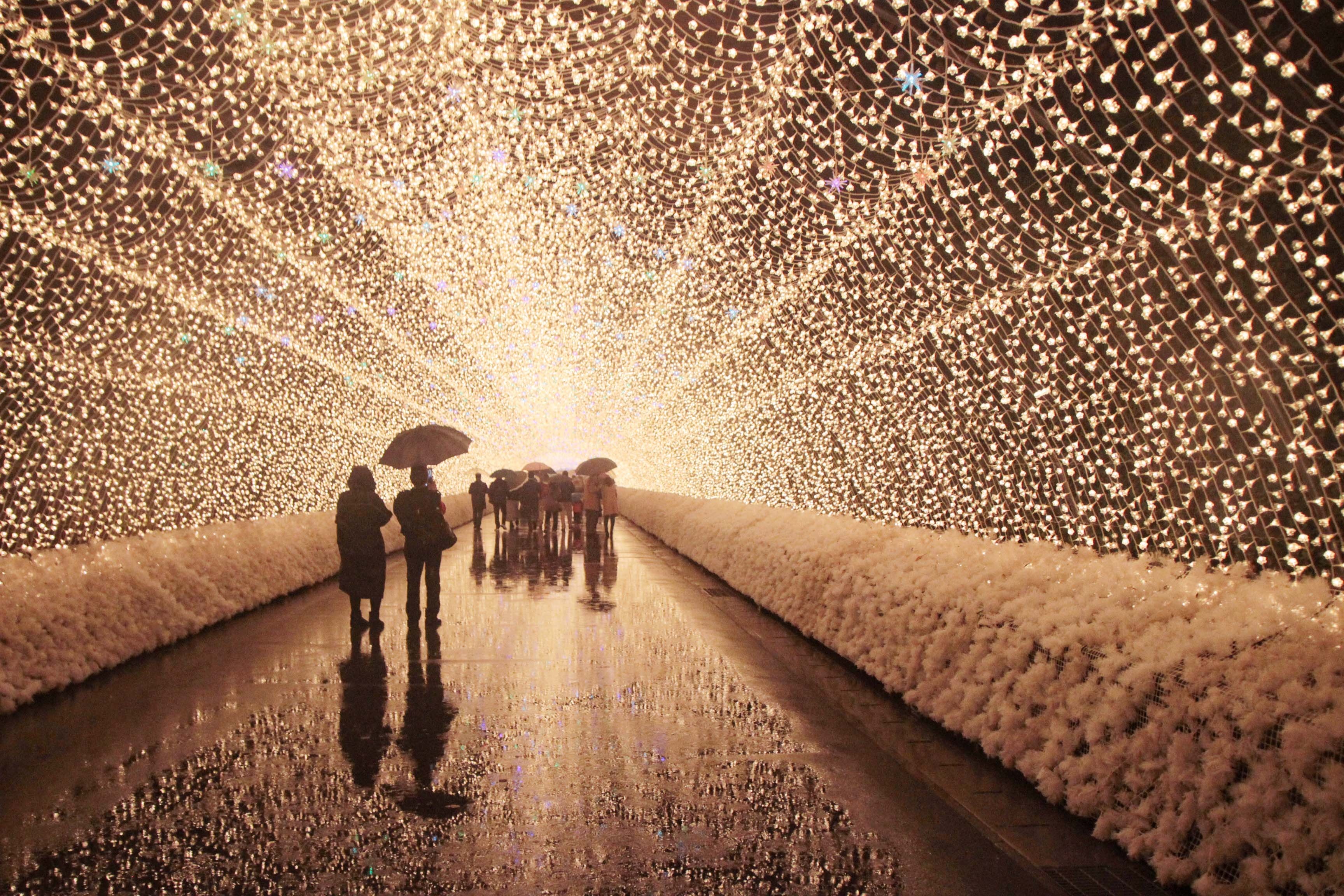 Cong vien than tien cua hoa va anh sang hinh anh