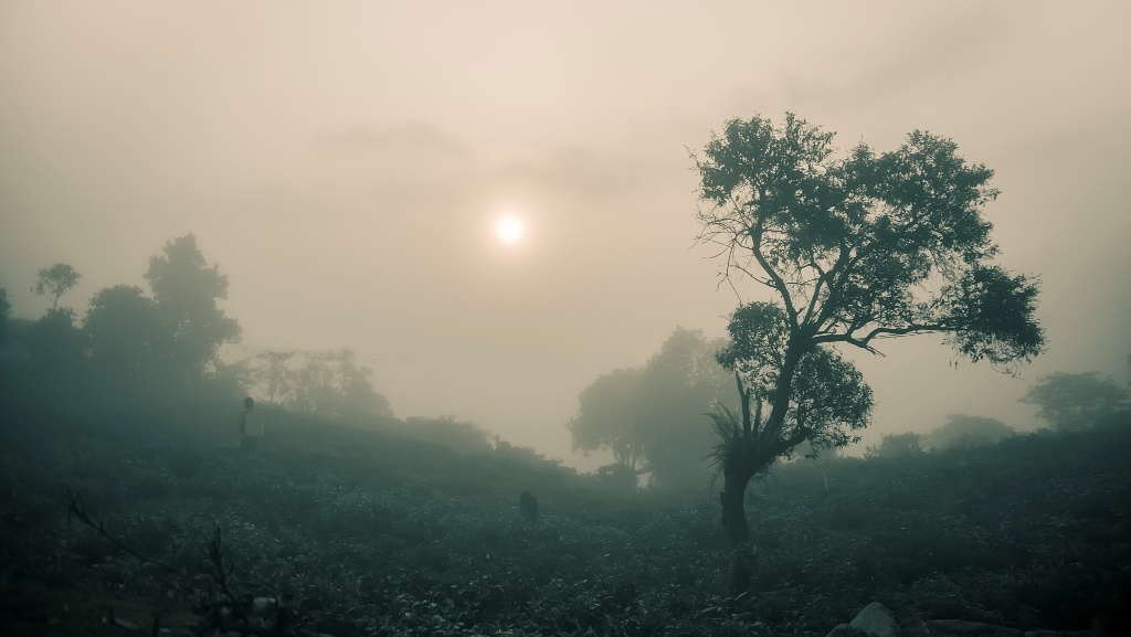 Chua Linh Quy Phap An anh 1