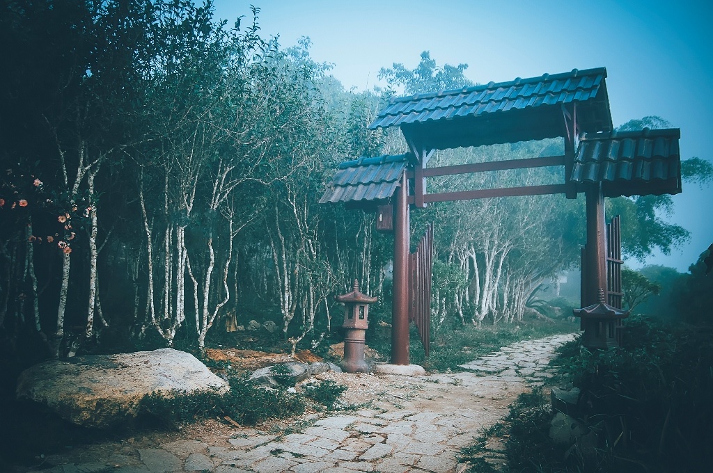 Chua Linh Quy Phap An anh 9