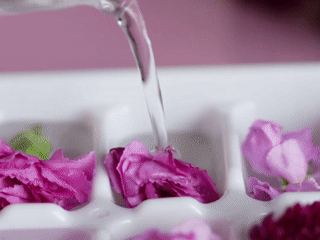 8 cach tan dung khay nuoc da hinh anh