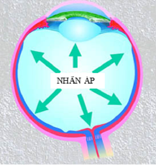 Cô bé người Việt có mắt xanh ảnh 2 Co be nguoi Viet co mat xanh anh 2