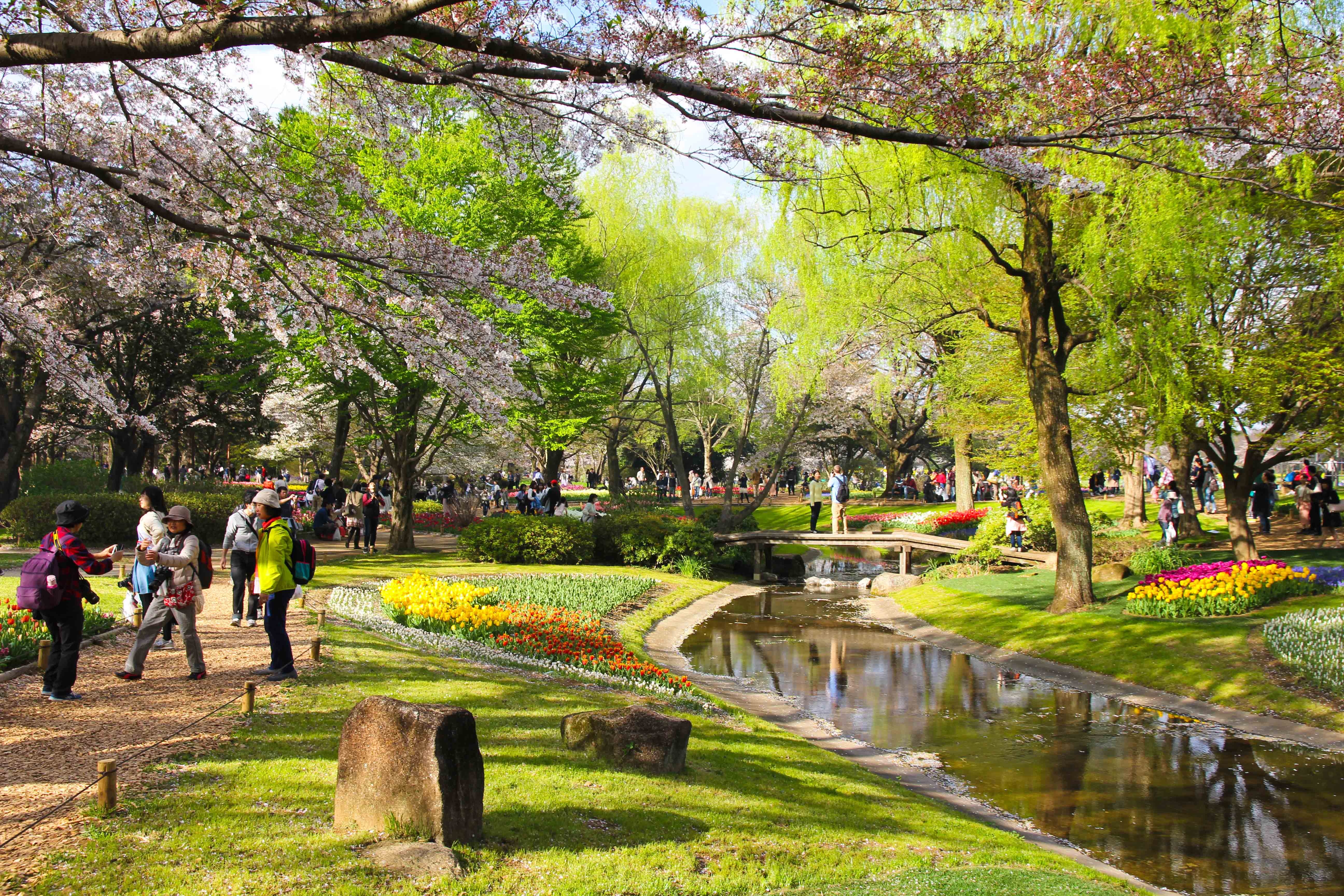 Thien duong hoa Nhat Ban anh 10