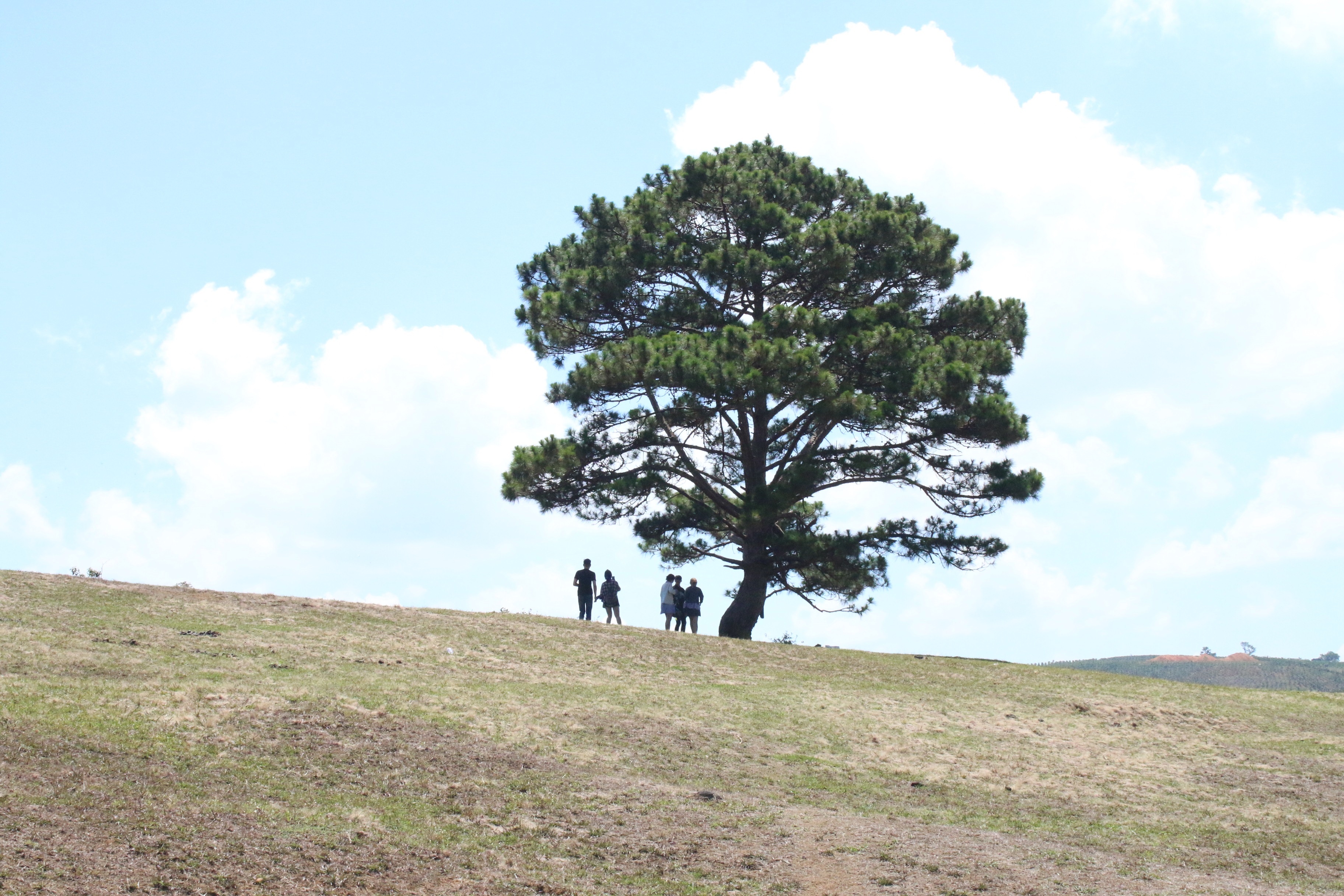 Thoa thich lang thang khap Da Lat 3 ngay voi 3 trieu dong hinh anh