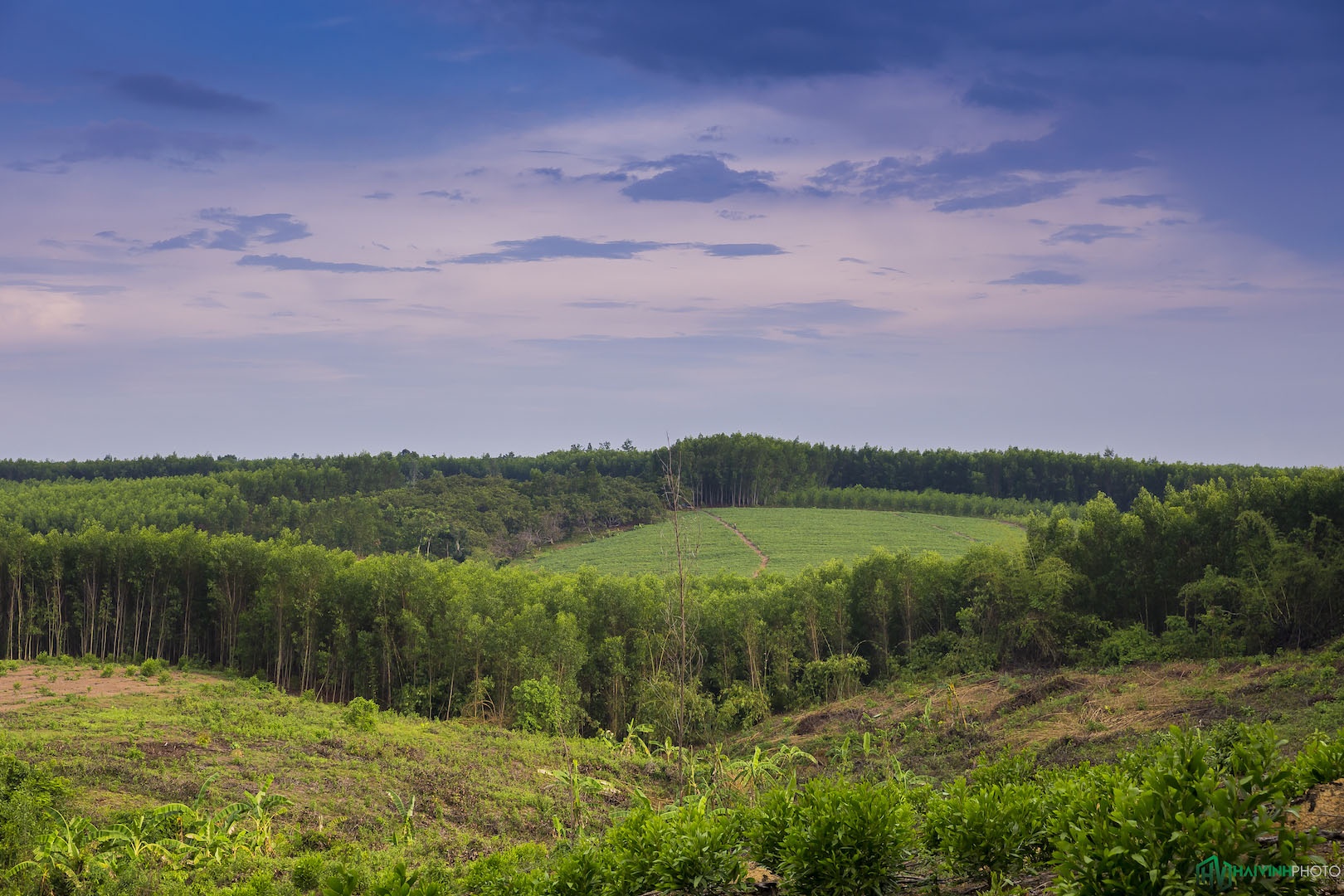 Hanh trinh trekking xuyen rung anh 8