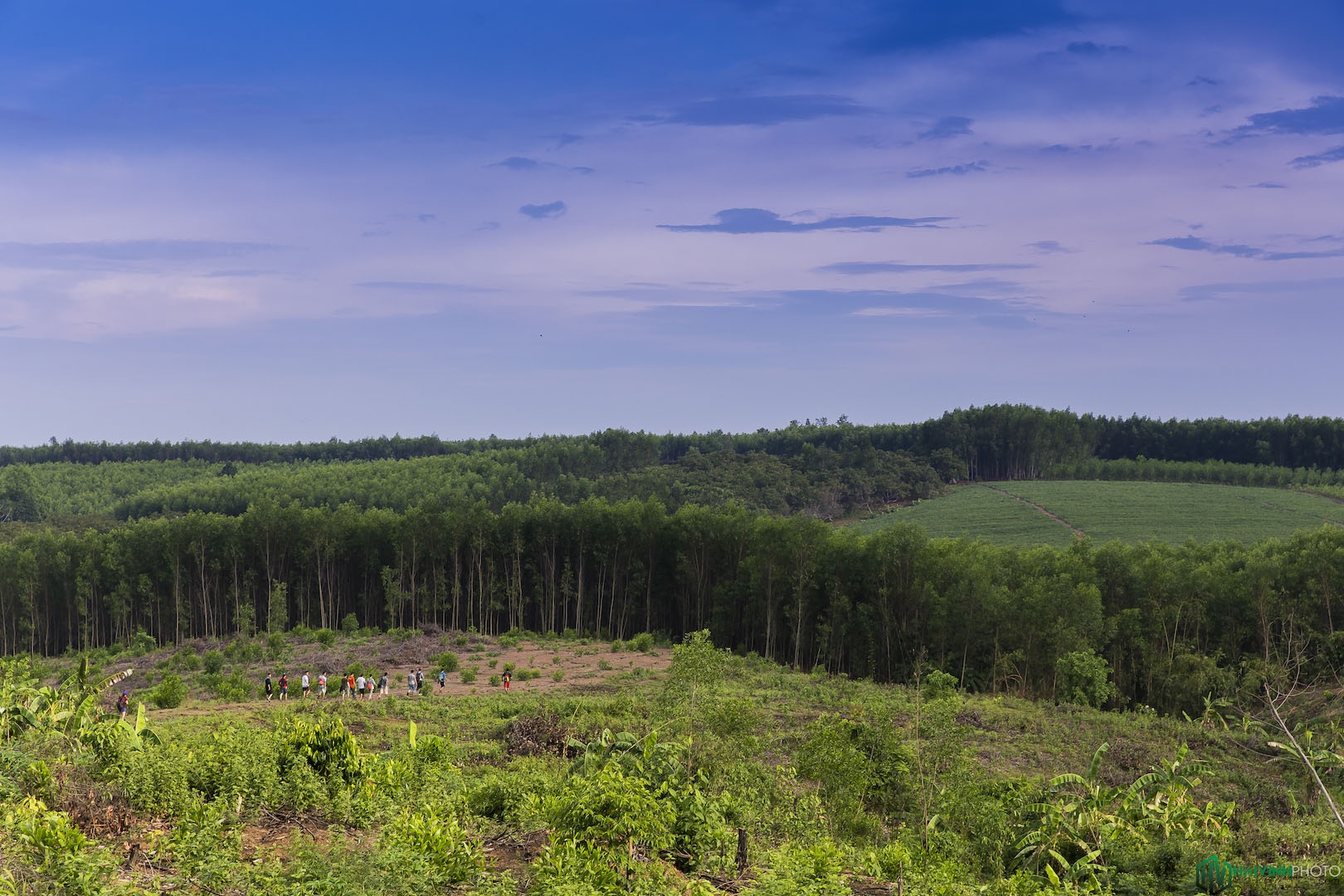 Hanh trinh trekking xuyen rung anh 9