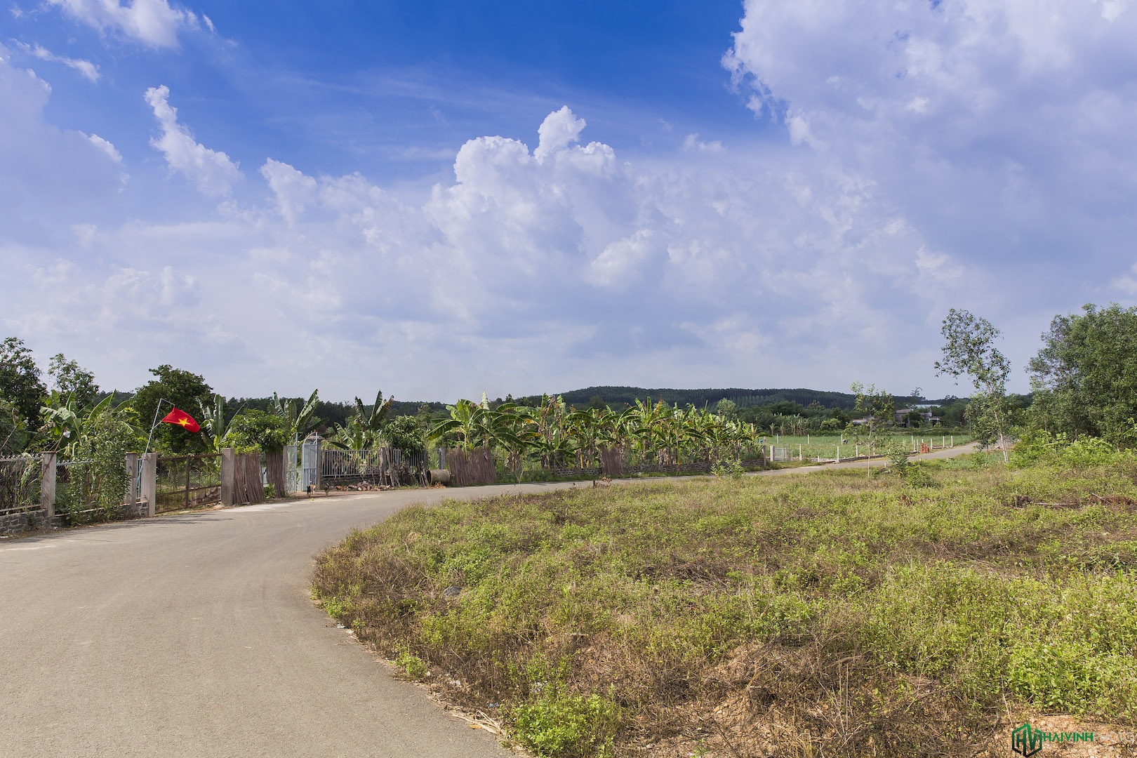 Hanh trinh trekking xuyen rung anh 2