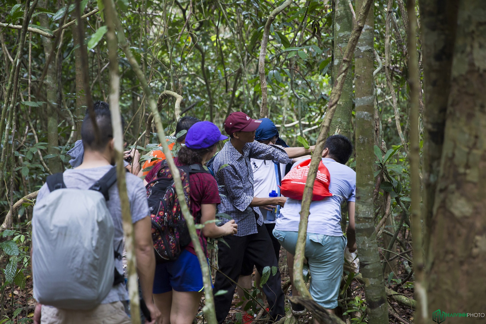 Hanh trinh trekking xuyen rung anh 5
