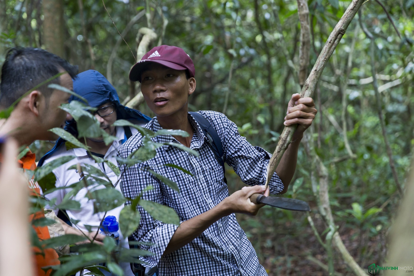Hanh trinh trekking xuyen rung anh 6
