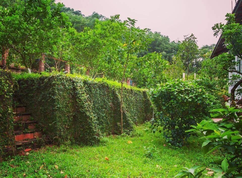 homestay ngoai o Ha Noi anh 1