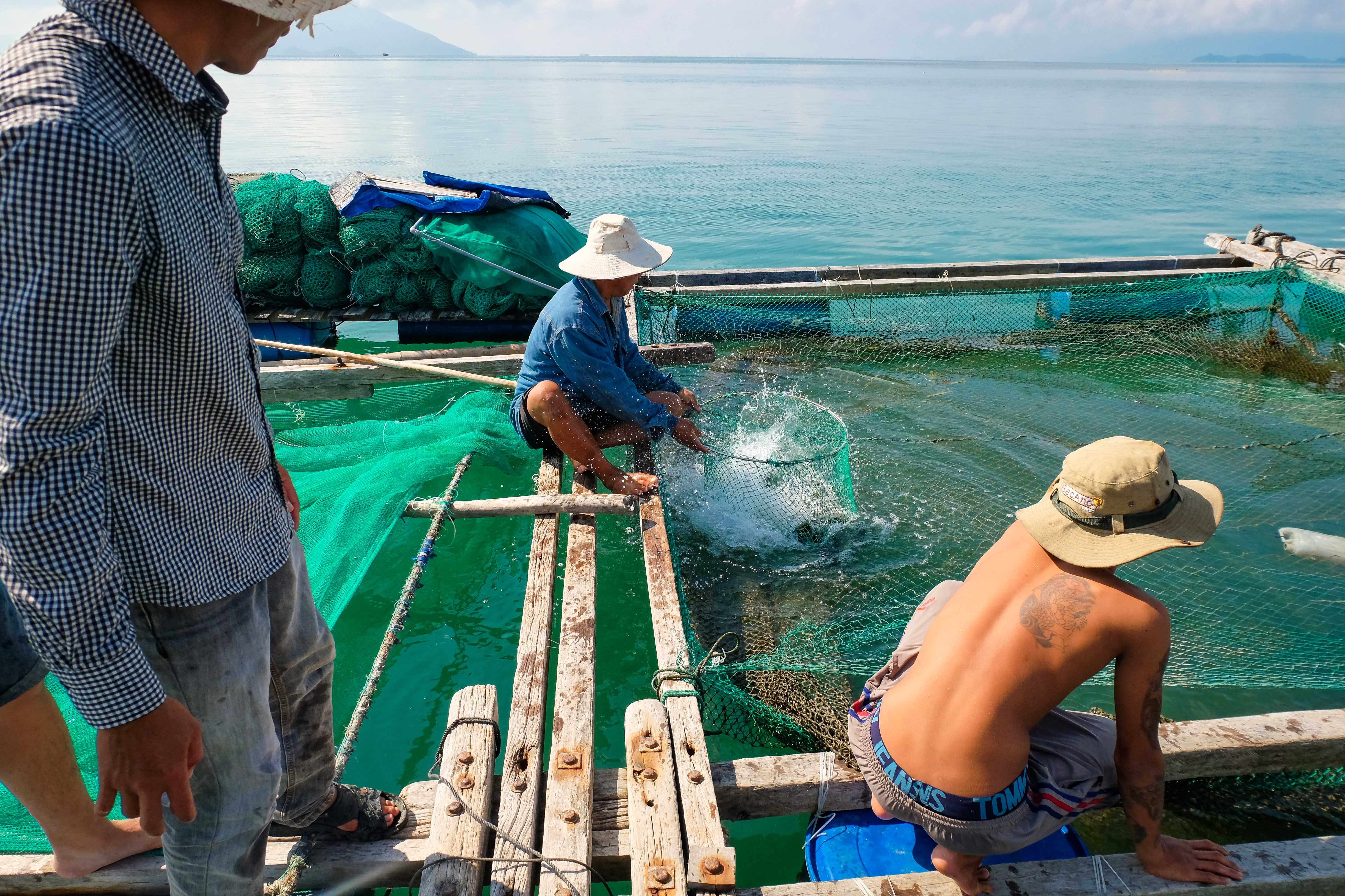 Kham pha dao Hon Lon anh 9