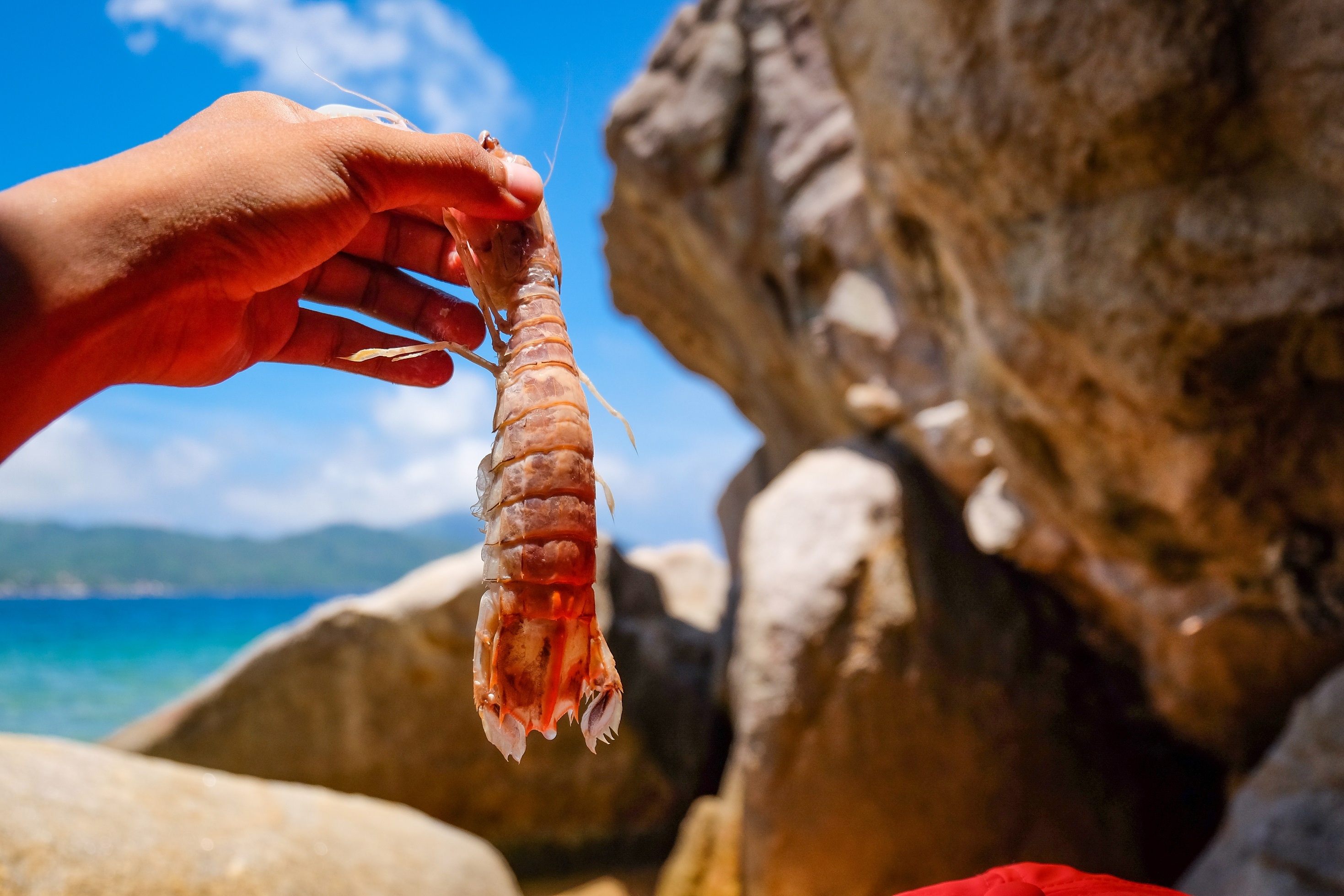 Kham pha dao Hon Lon anh 3