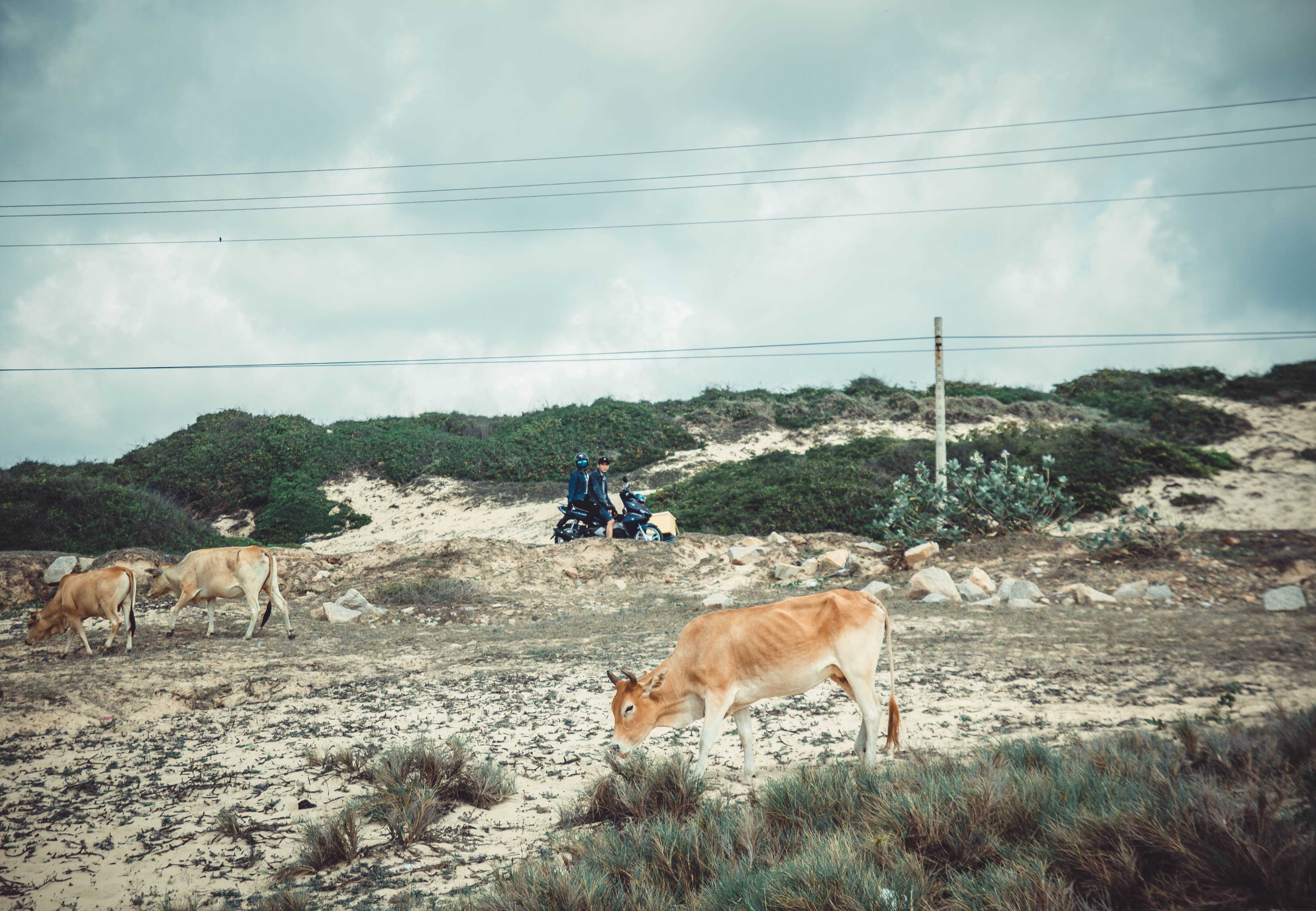 Trekking duong ven bien anh 1