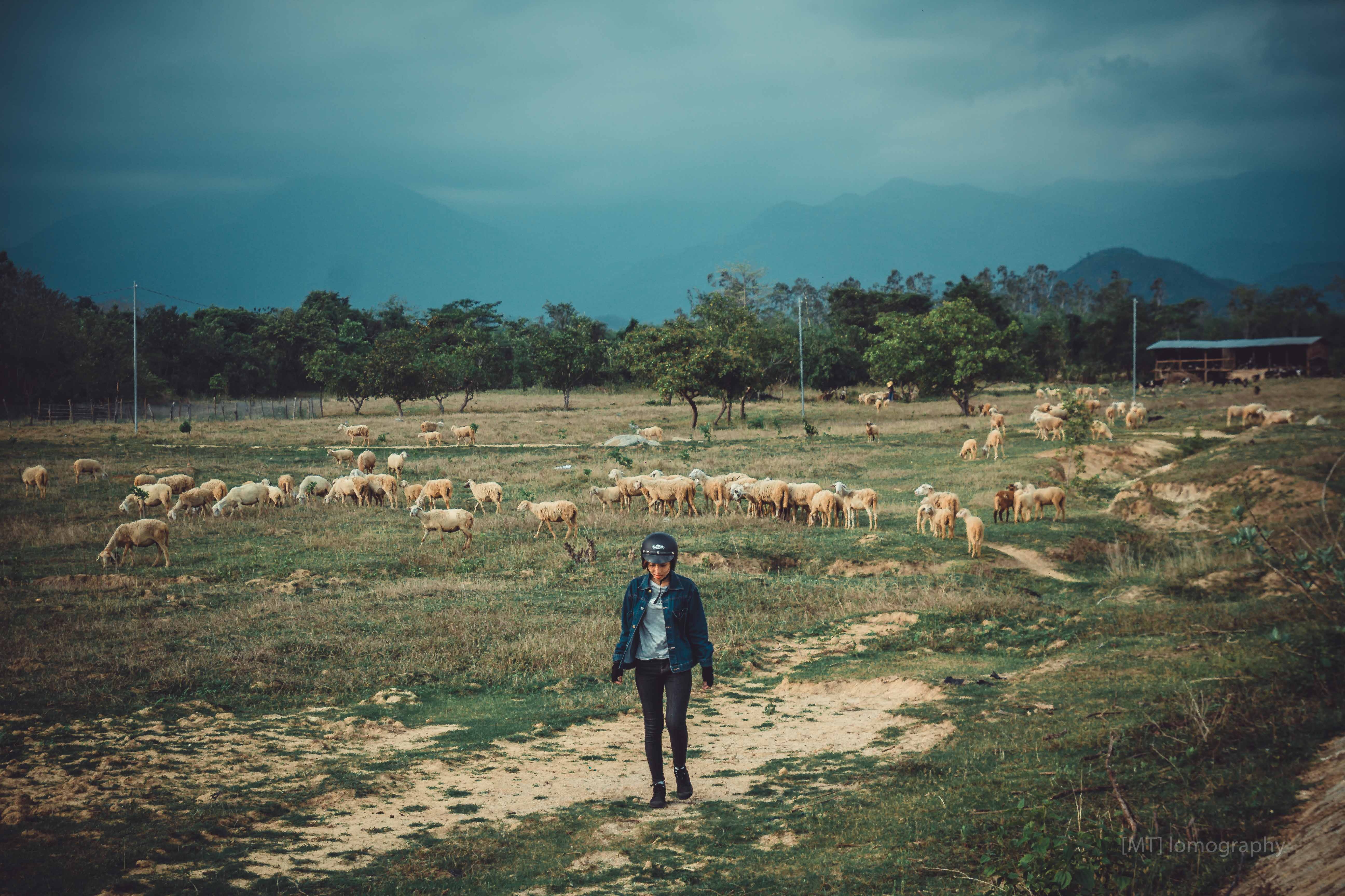 Trekking duong ven bien anh 12