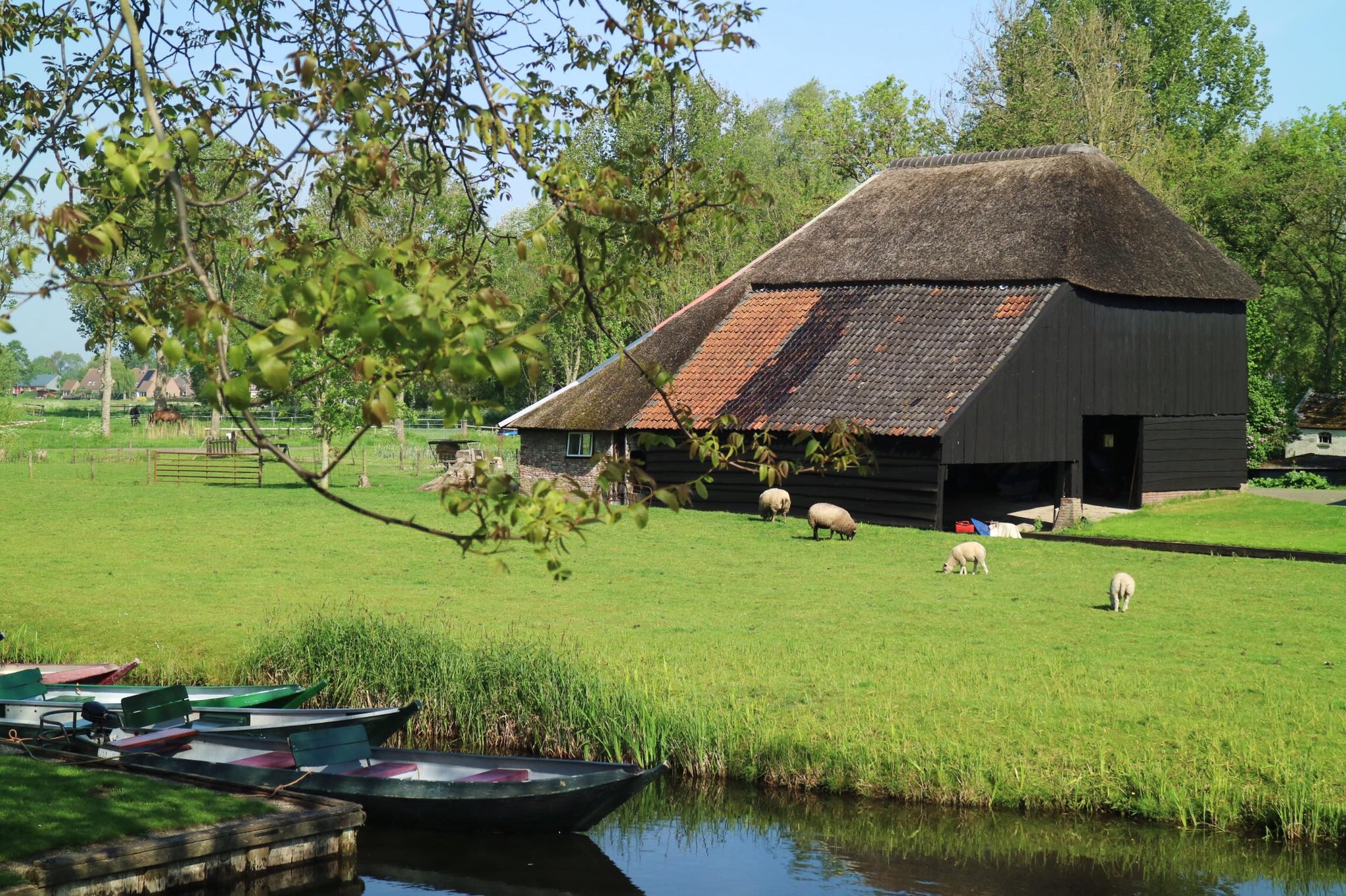 Lang Giethoorn dep nhu mo anh 4