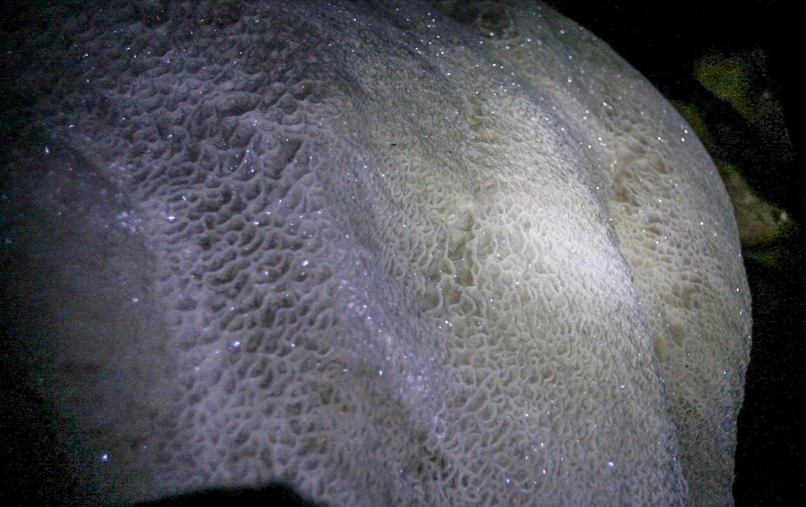 Hanh trinh kham pha hang Tham Phay anh 11