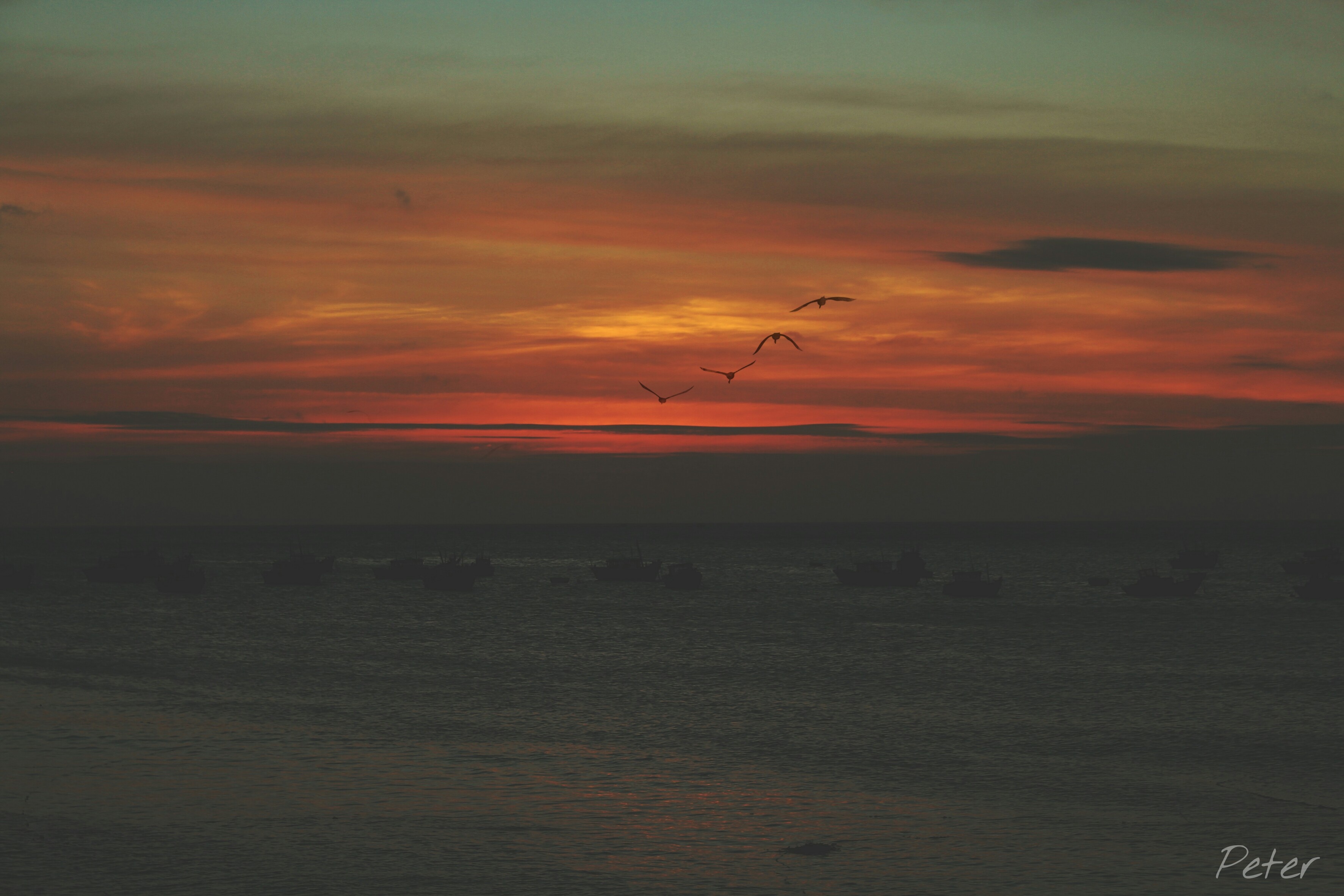 Du lich dao Phu Quy anh 14