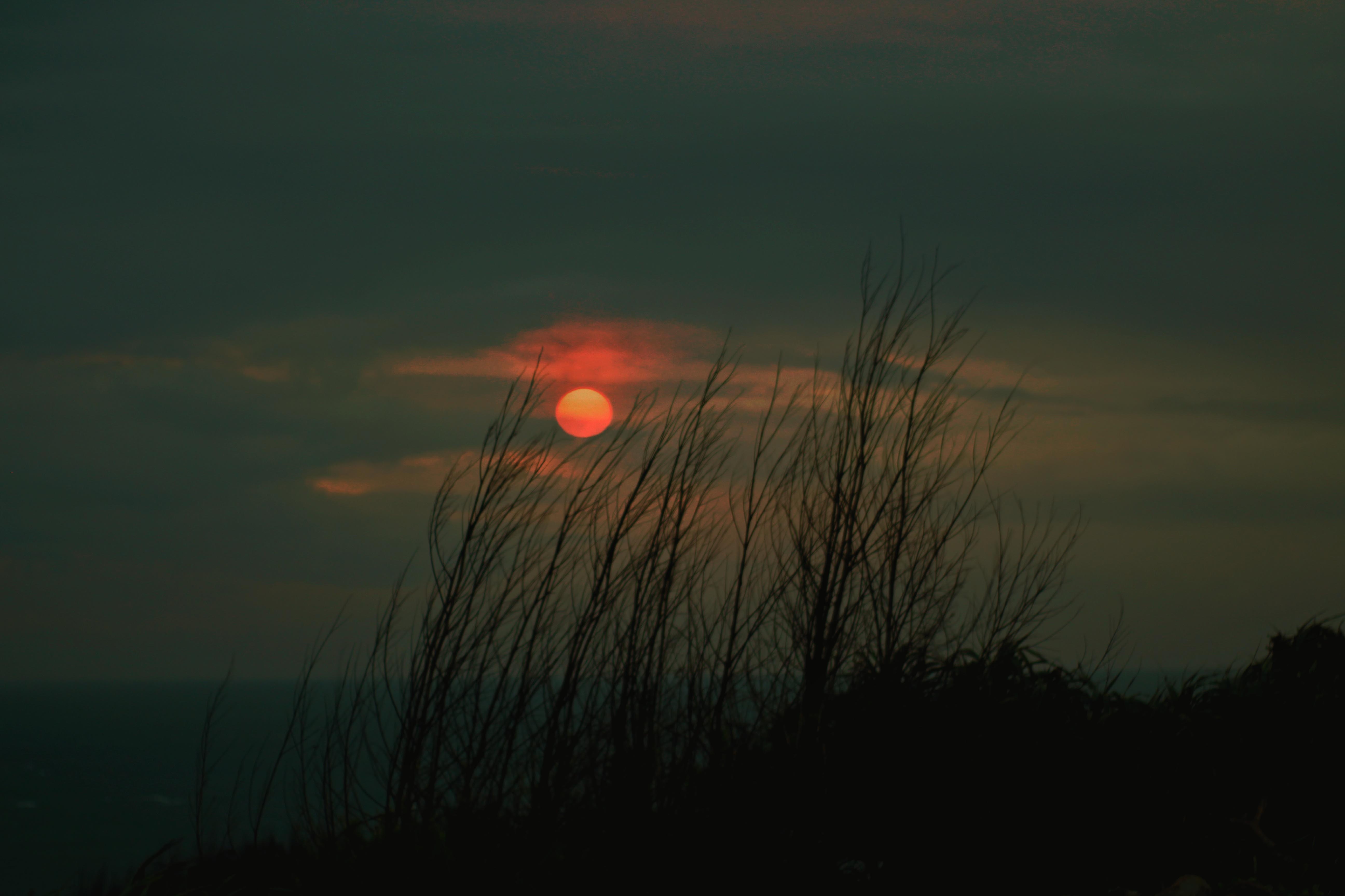 Du lich dao Phu Quy anh 3