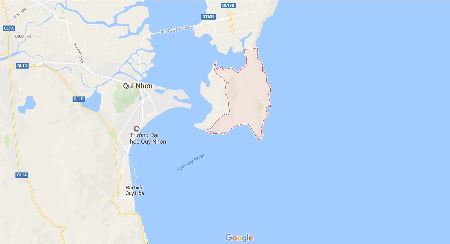 Du lich Quy Nhon Binh Dinh anh 23