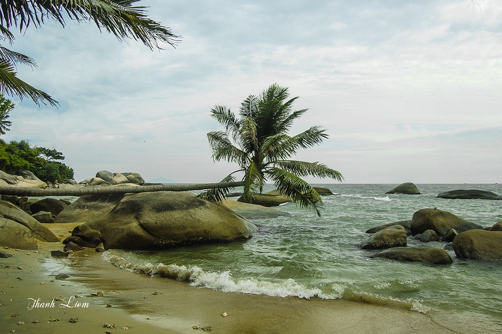 Du lich dao Hon Son anh 17