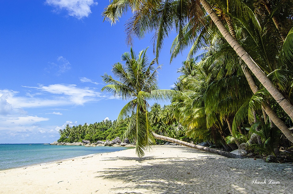 Du lich dao Hon Son anh 6