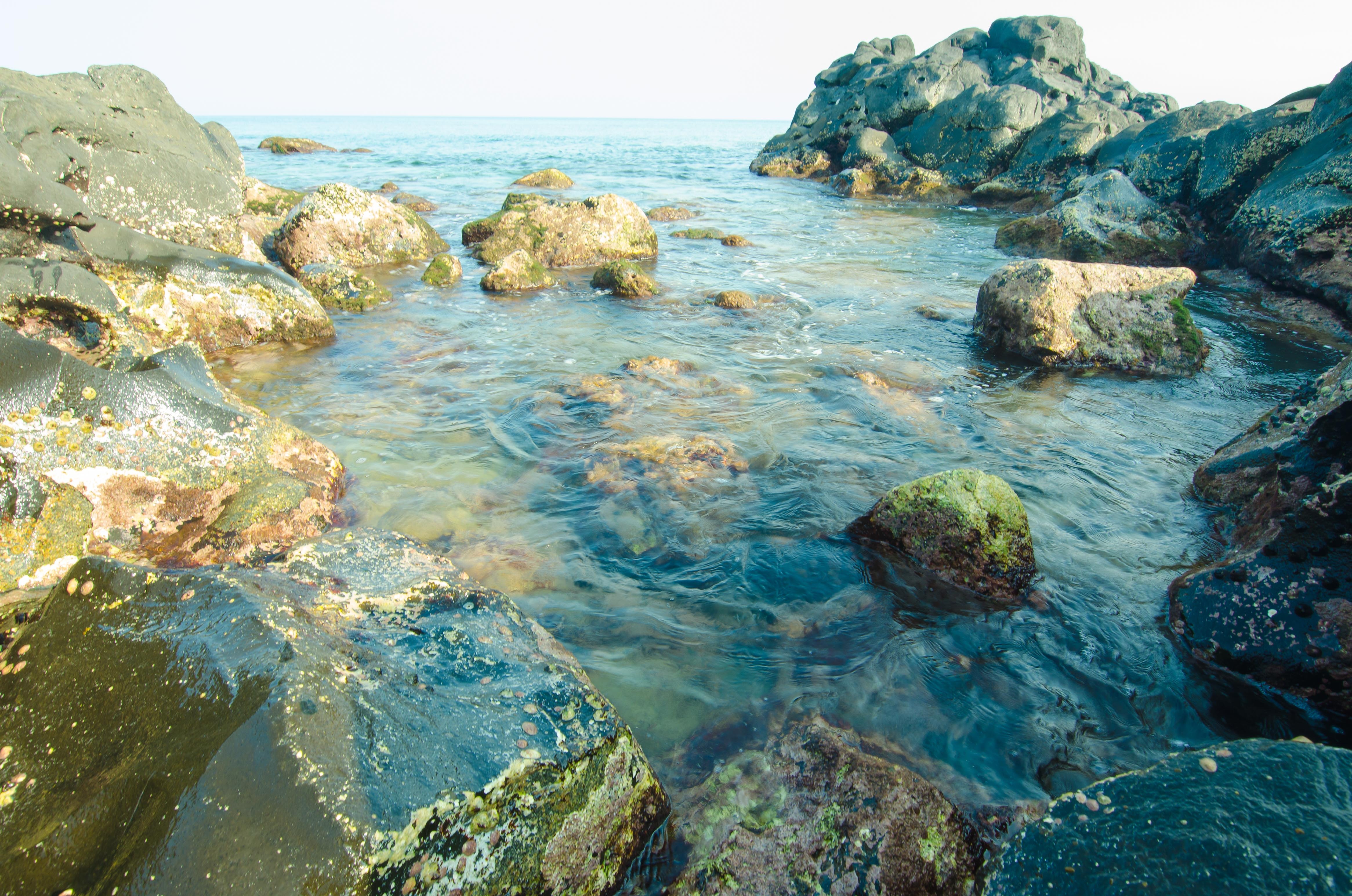 Du lich Con Co Quang Tri anh 4