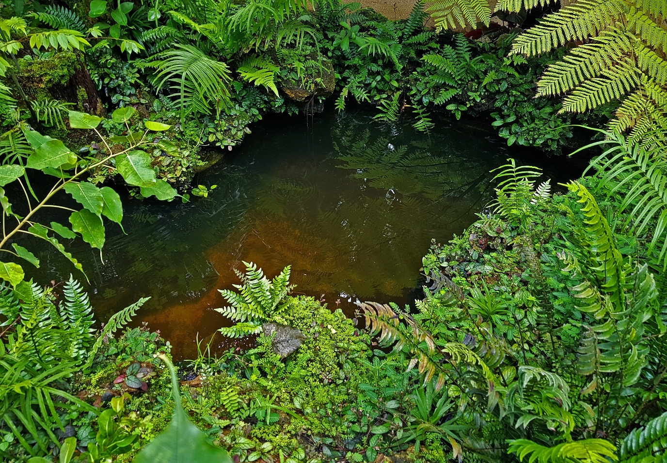 Thien vien Sathira Dhammasathan anh 6