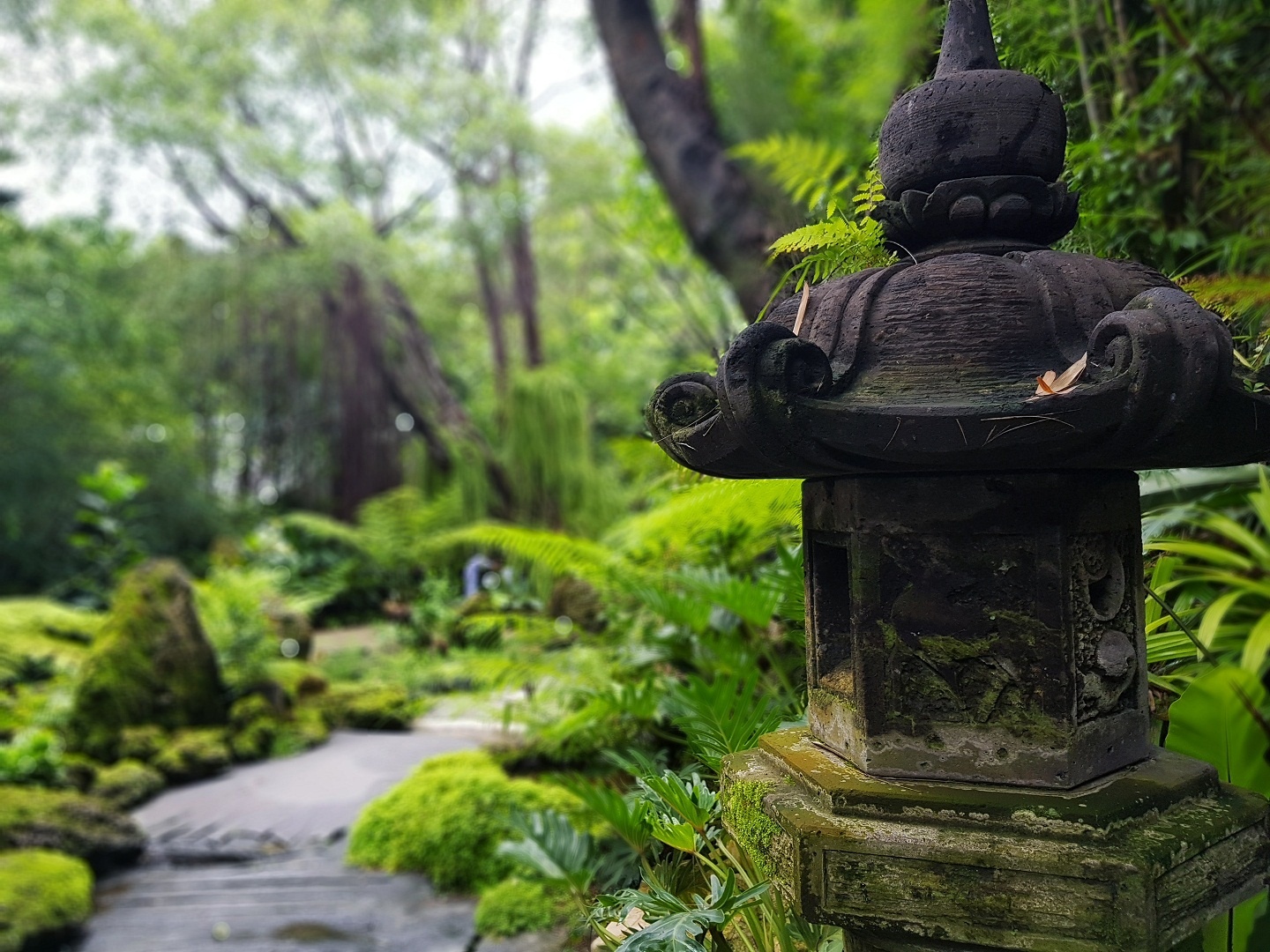 Thien vien xanh mat nhu oc dao o Bangkok hinh anh